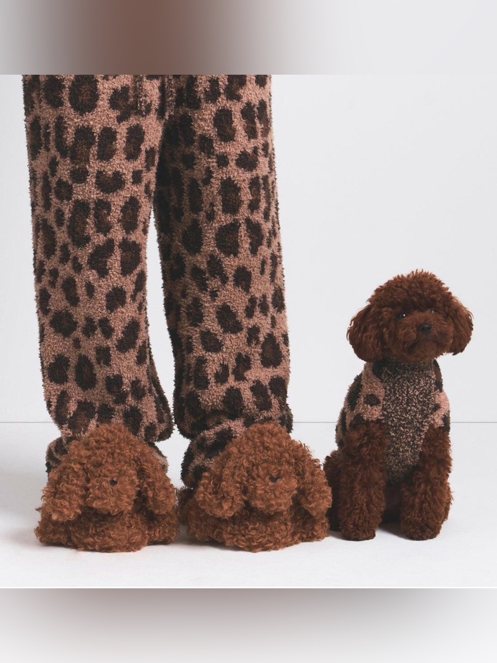 BNWT SKIMS Cozy Dog Slippers
